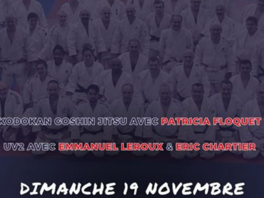 Image de l'actu 'Stage de juges kata'