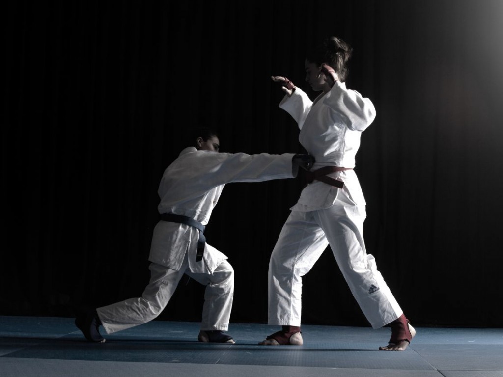 Image de l'actu 'Stage Jujitsu 14 octobre -  Nanterre'